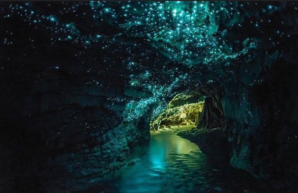 Waitomo Caves