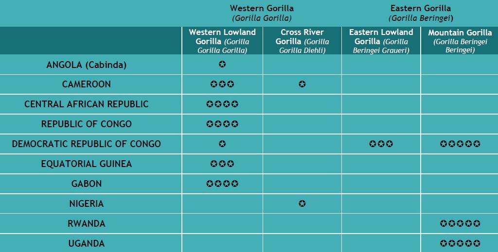 Where to see Gorillas