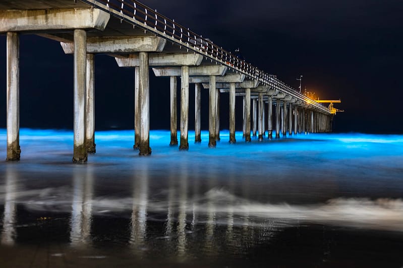 Best places to see Bioluminescence