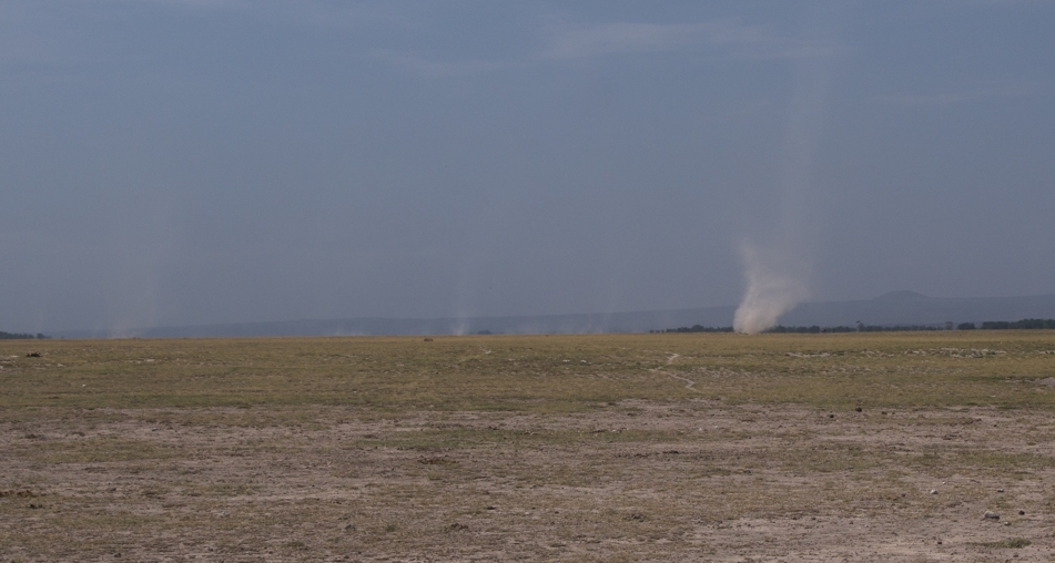 Dust devils in Amboseli, Kenya
