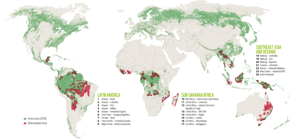 Rainforest deforestation map