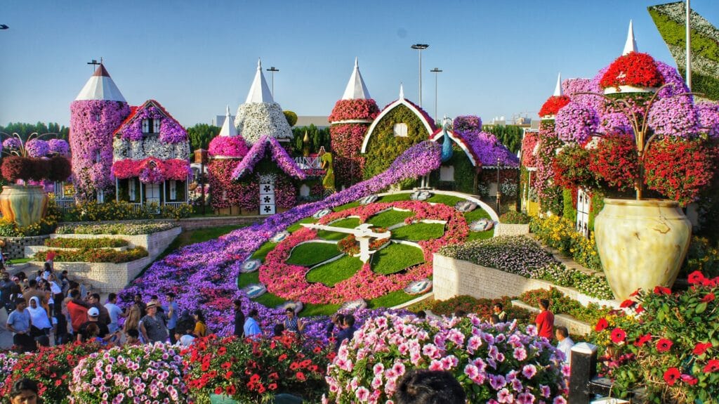 Dubai Amusement