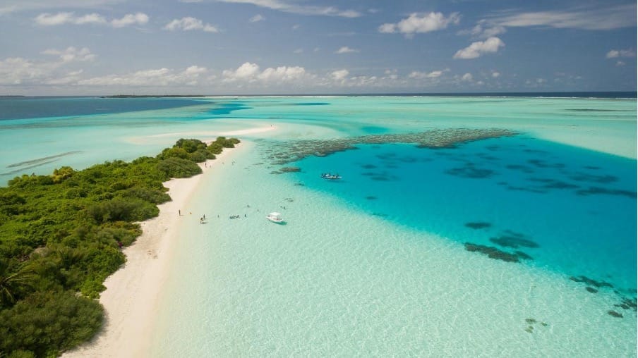 caribbean