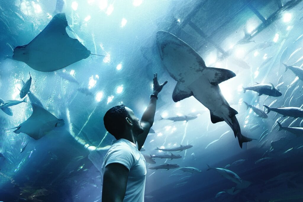 Aquarium