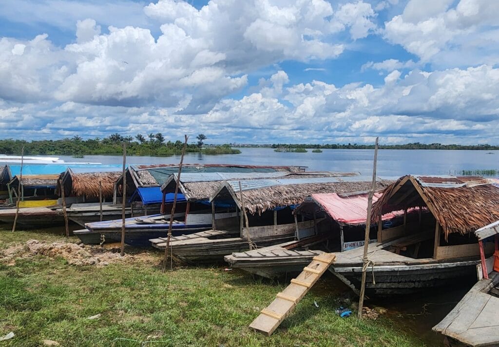 Amazon river cruise