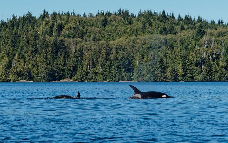 San Juan Islands