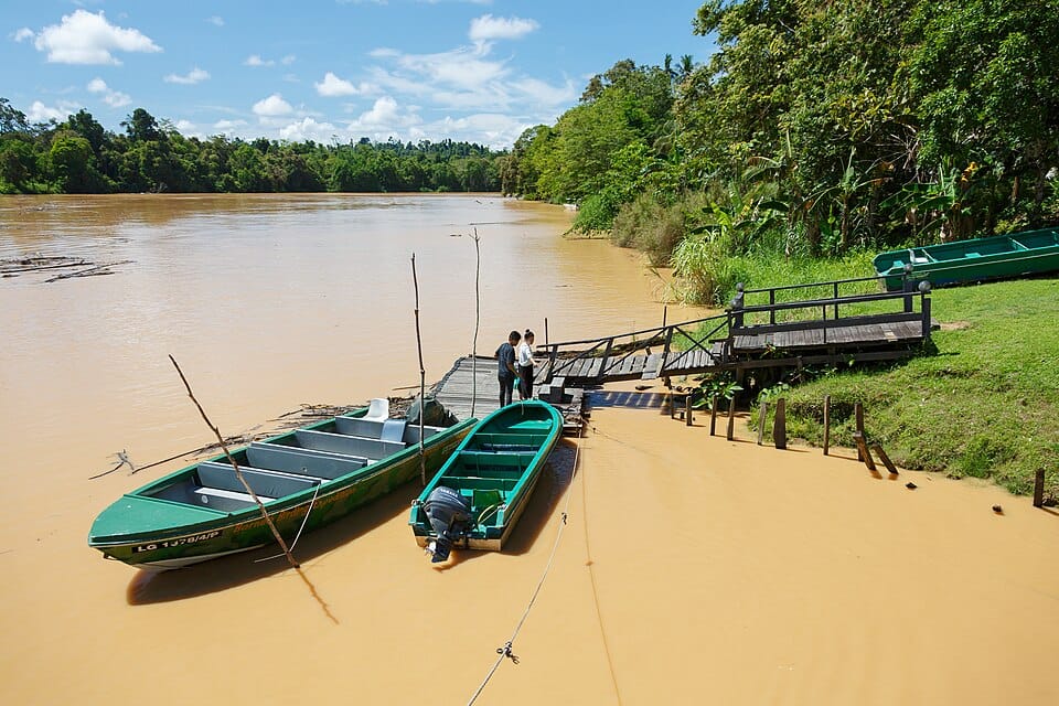 Kinabatangan River