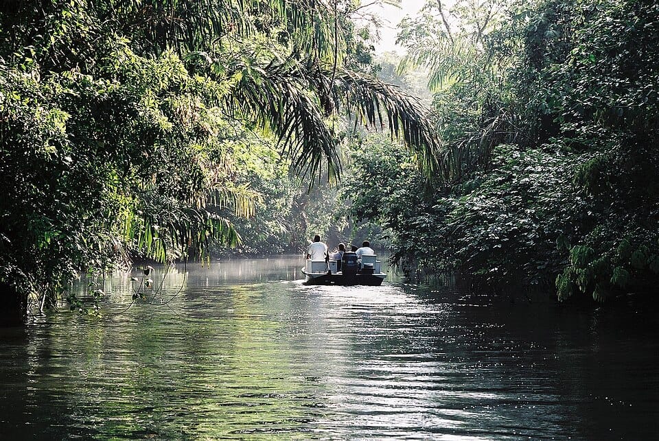 Tortuguero
