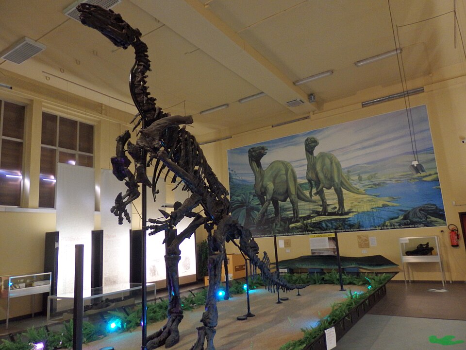 Bernissart Iguanodons