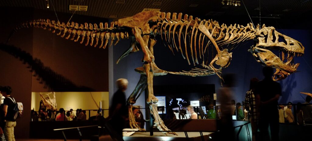 Scotty T-Rex