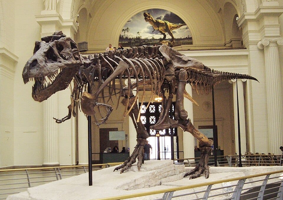 Sue T-Rex