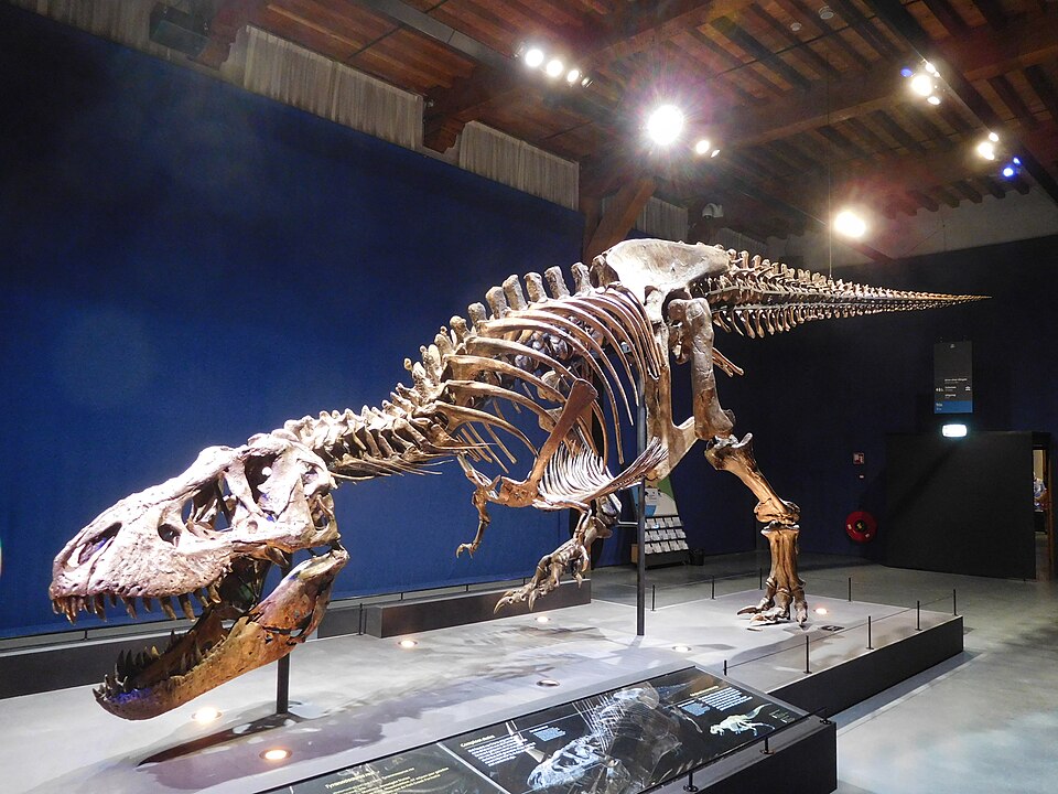 Trix T-Rex